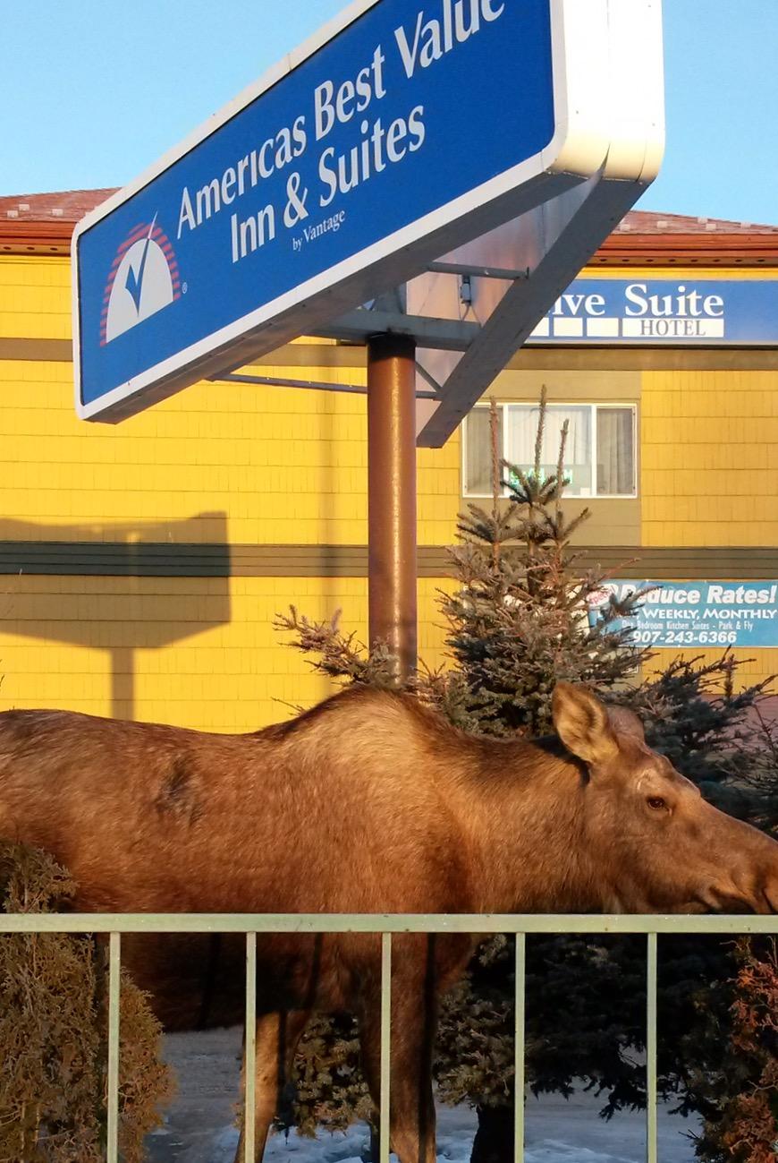 Americas Best Value Inn & Suites Anchorage Airport Dış mekan fotoğraf