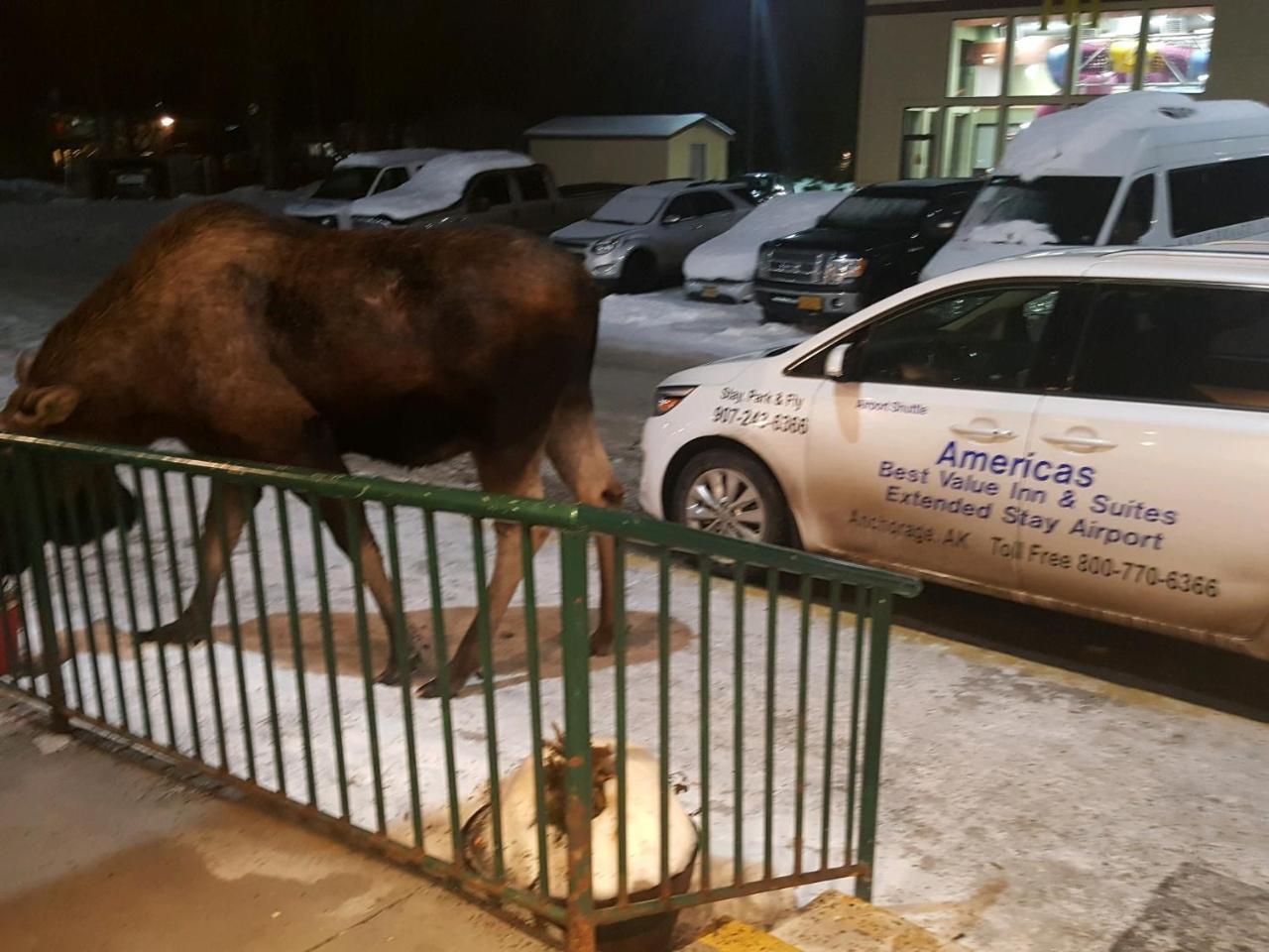 Americas Best Value Inn & Suites Anchorage Airport Dış mekan fotoğraf
